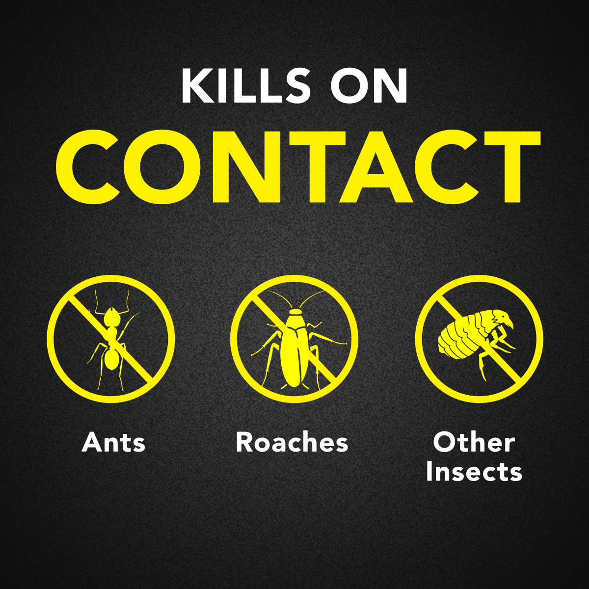 slide 2 of 8, Raid Ant & Roach Indoor Bug Spray, Water-Based Aerosol Insecticide for home, 17.5 oz, 17.50 oz