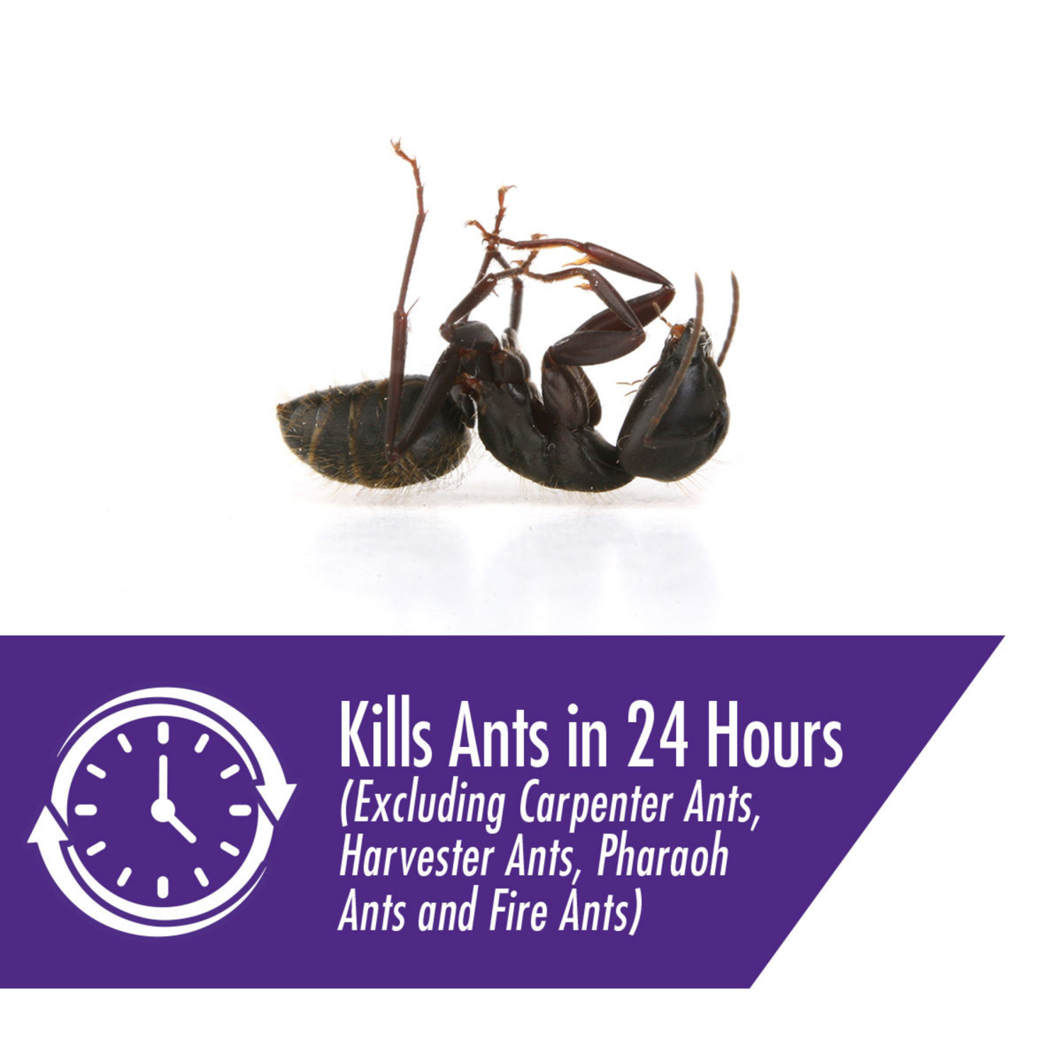 slide 8 of 8, STEM Liquid Ant Bait, Kills Ants, Spill Proof, [Includes 4 Bait Stations], 4 ct