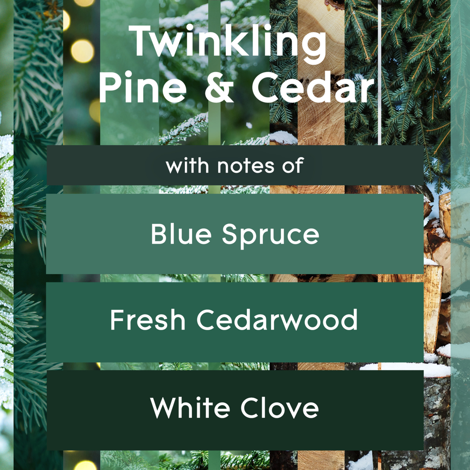 slide 5 of 5, Glade PlugIns Scented Oil, Air Freshener, 2 Refills, Twinkling Pine & Cedar, 0.67 oz Each, 1.34 oz Total, 2 ct