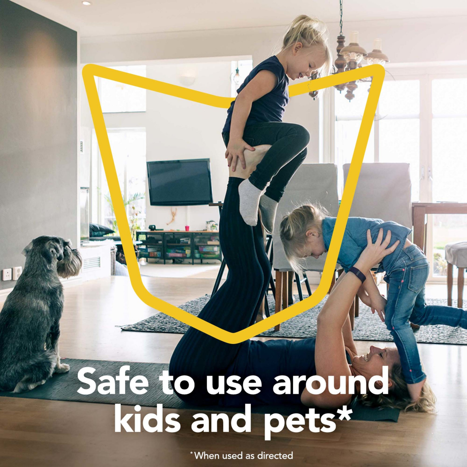 slide 8 of 8, Raid Essentials Fly, Gnat & Mosquito Killer 28, Insect Spray with Essential Oils, 10 oz, 10 oz