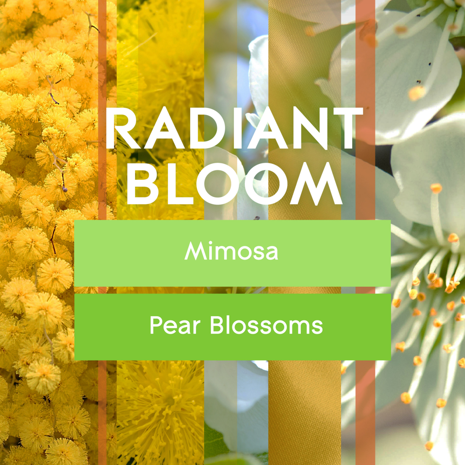 slide 2 of 8, Glade Automatic Spray Air Freshener Refill - Radiant Bloom - 6.2oz, 6.2 oz