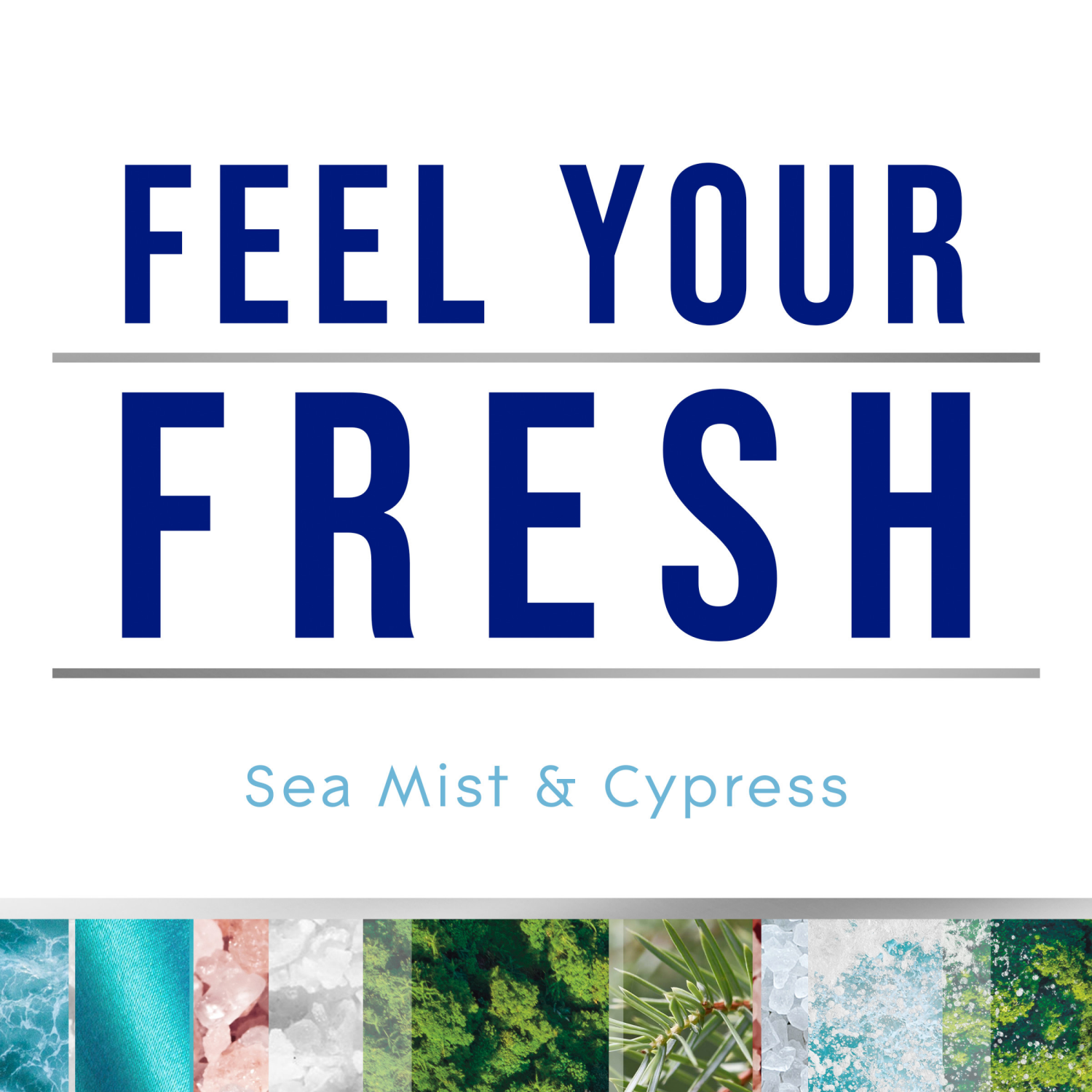 slide 2 of 5, Glade Automatic Spray Air Freshener Refills, Sea Mist & Cypress, Fresh Collection, 6.2 oz, 6.2 oz