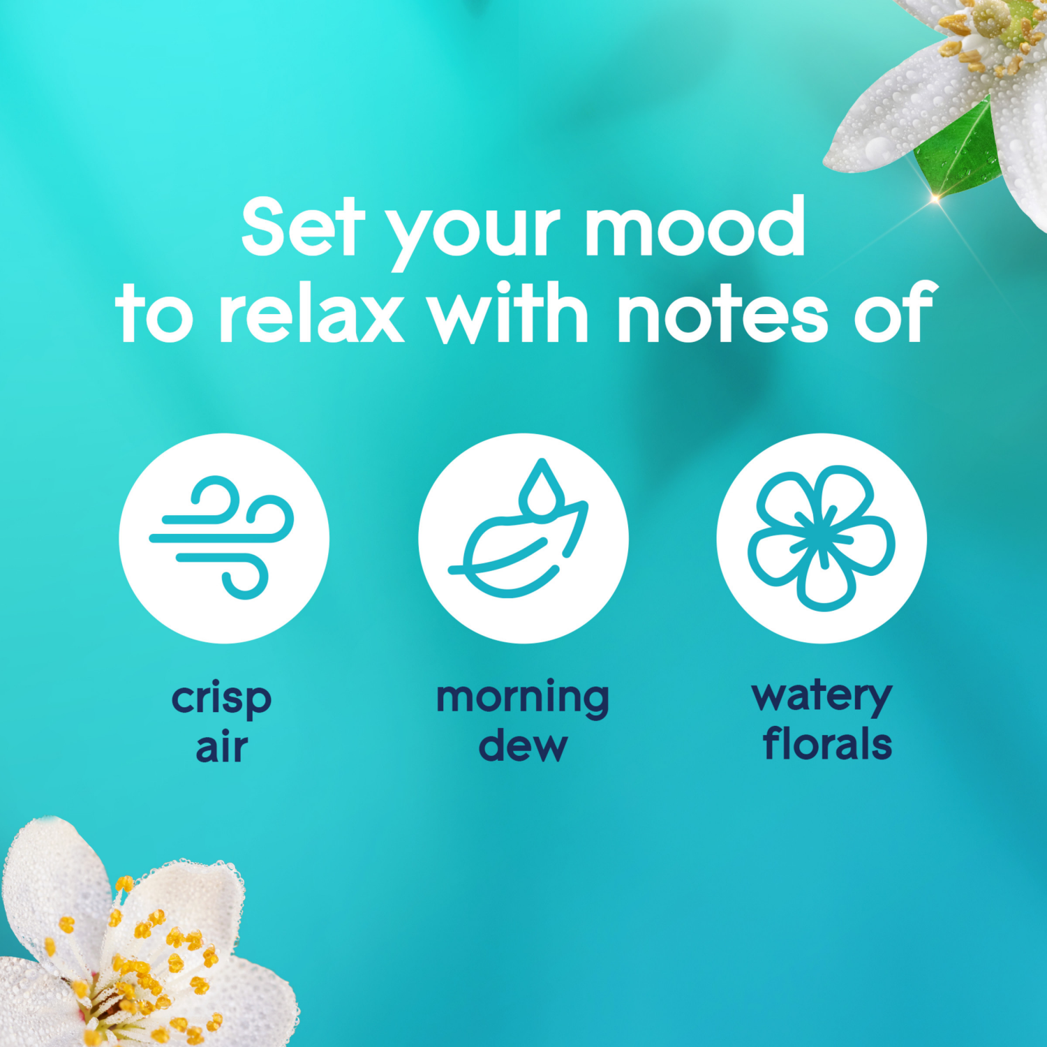 slide 3 of 5, Glade PlugIns Refills Air Freshener, Dewdrop Petals, 1.34 Oz, 5 Count, 1.34 oz, 5 ct