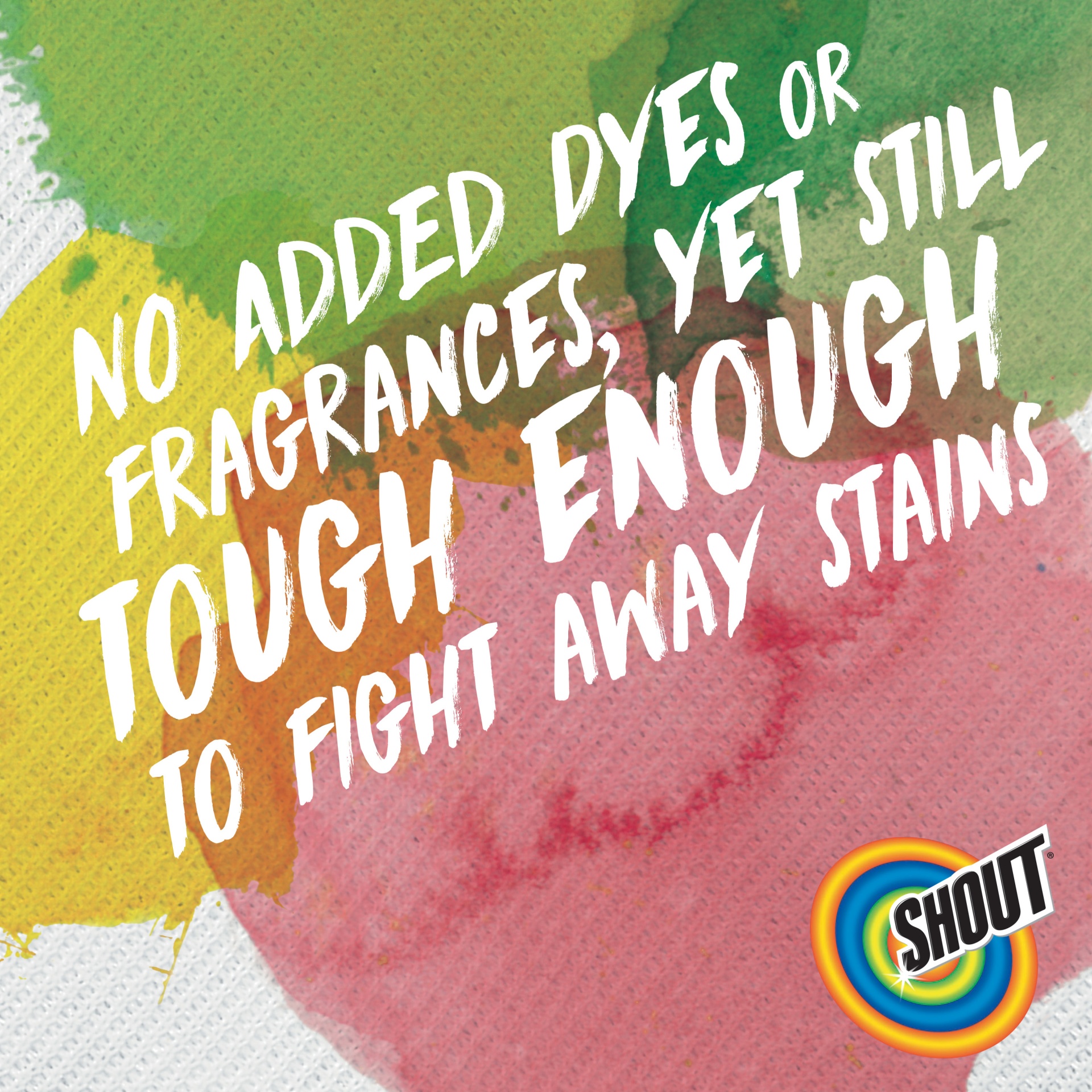 Shout Dye & Fragrance Free Laundry Stain Remover - Shop Stain