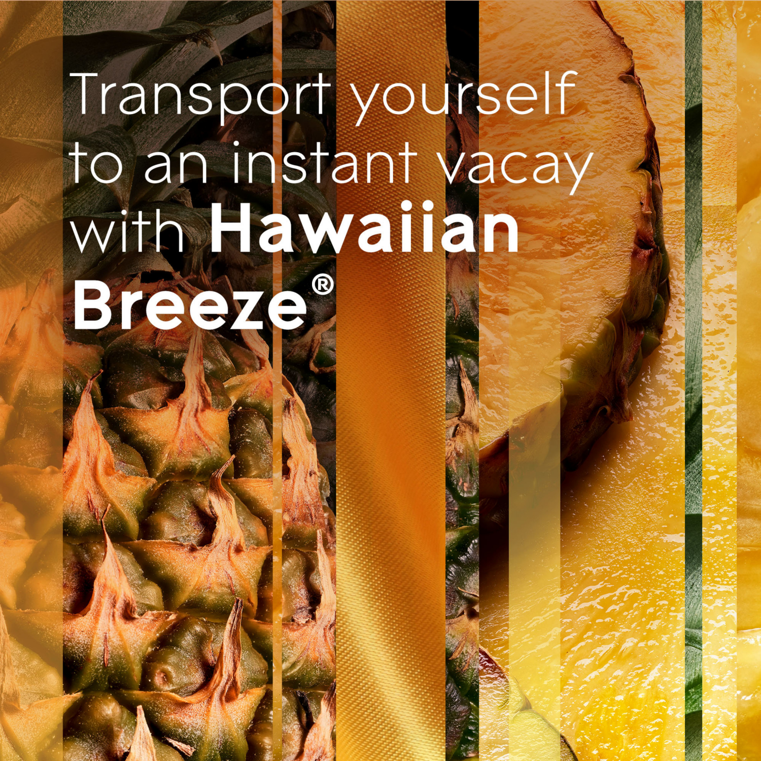 slide 5 of 8, Glade PlugIns Hawaiian Breeze Scented Oil Warmer 1 ea, 1 ct