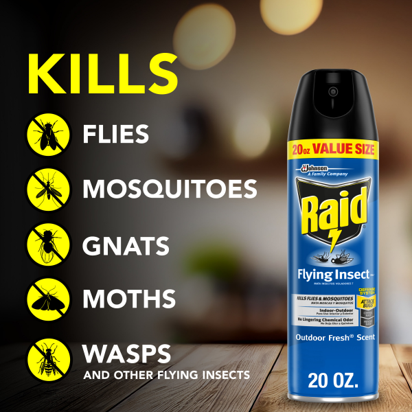 slide 27 of 29, Raid Flying Insect Killer, 20 oz