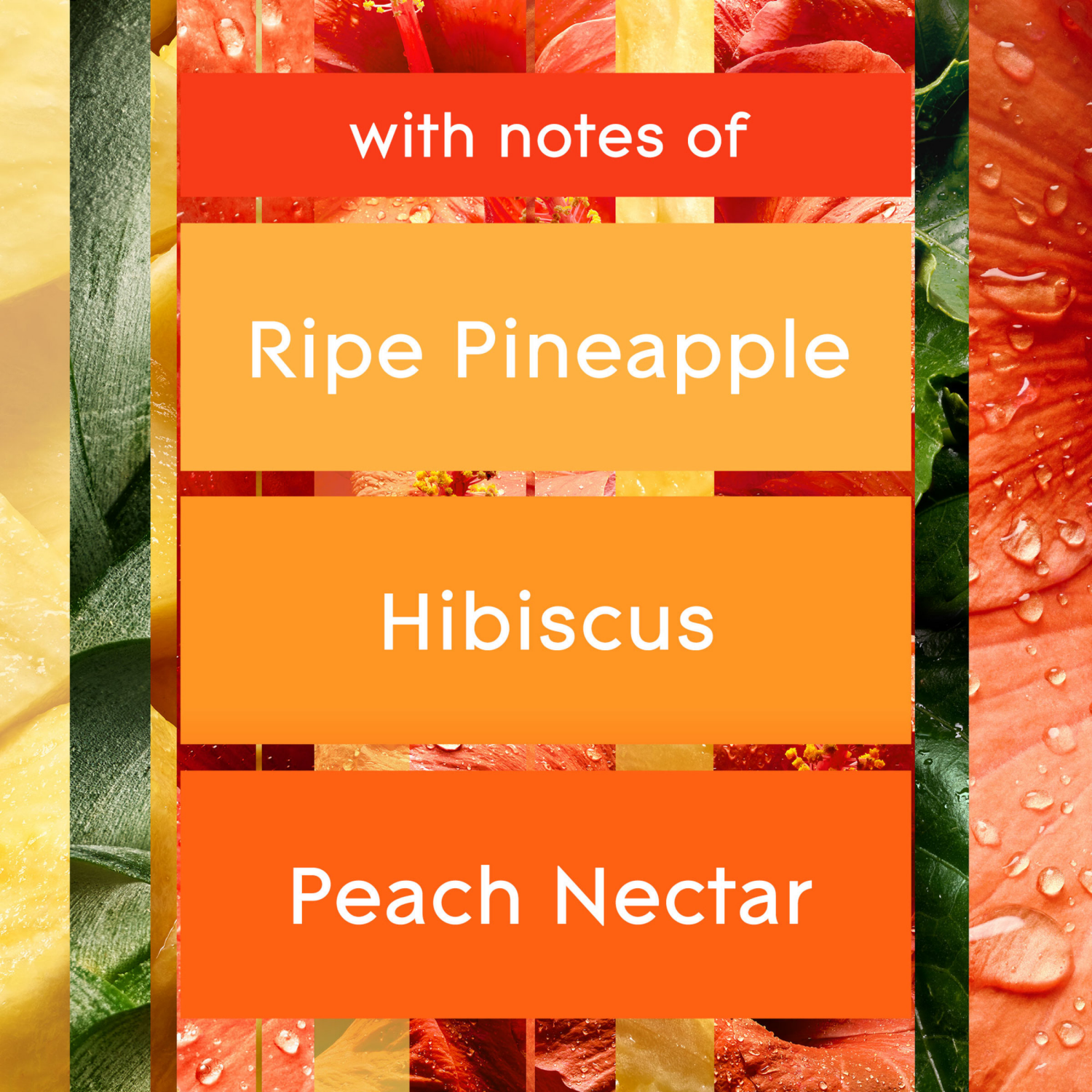 slide 2 of 5, Glade Hawaiian Breeze Automatic Spray Refill Value Pack Aerosol 2 - 6.2 oz, 2 ct