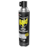 slide 20 of 29, Raid Wasp And Hornet Insecticide Spray, 17.5 oz