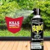 slide 14 of 29, Raid Wasp And Hornet Insecticide Spray, 17.5 oz