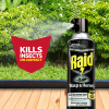 slide 15 of 29, Raid Wasp And Hornet Insecticide Spray, 17.5 oz