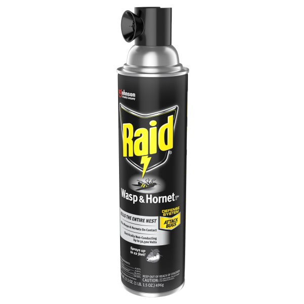 slide 19 of 29, Raid Wasp And Hornet Insecticide Spray, 17.5 oz
