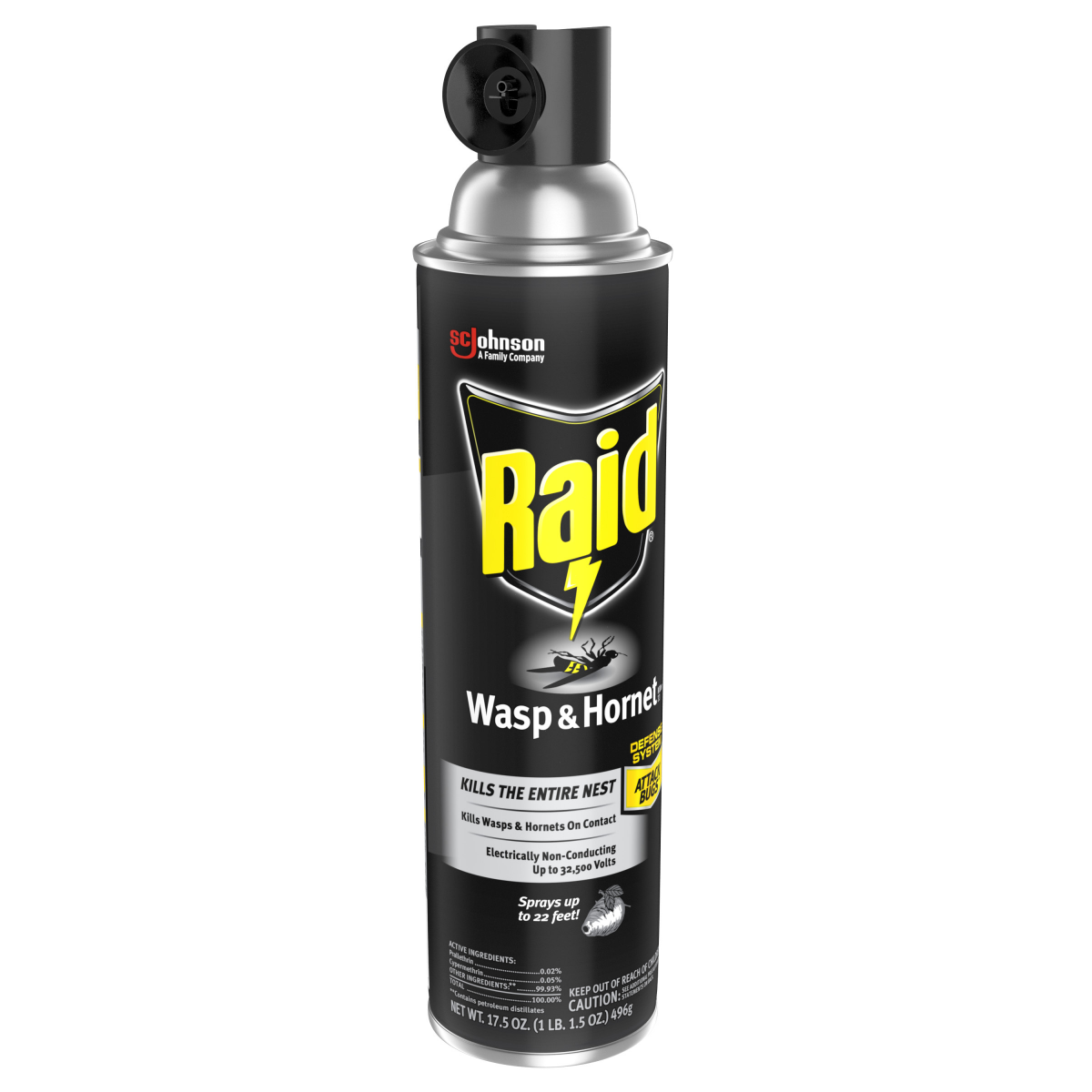 slide 3 of 29, Raid Wasp And Hornet Insecticide Spray, 17.5 oz