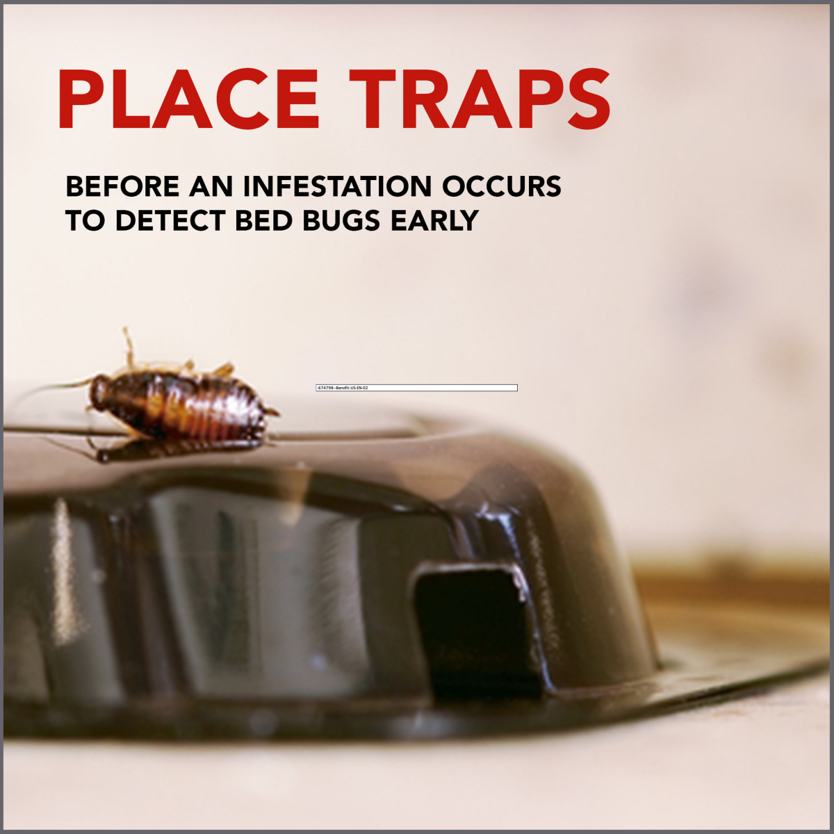 slide 2 of 8, Raid Bed Bug Detector & Trap, 4 ct