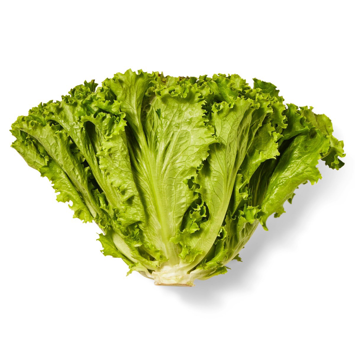 slide 1 of 5,  Green Leaf Lettuce Bunch, 1 ct