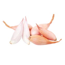 Shallot