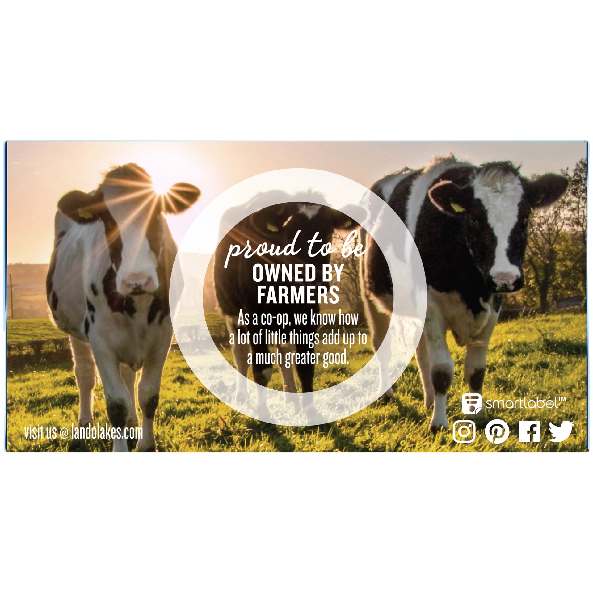 slide 2 of 6, Land O'Lakes Unsalted Butter, 4 Sticks, 1 lb Pack, 1 lb