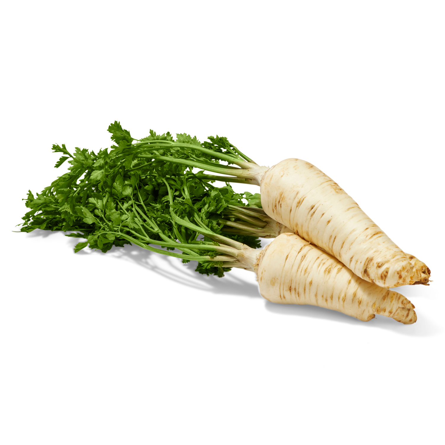 slide 2 of 2, Coco Parsley Roots, 1 ct