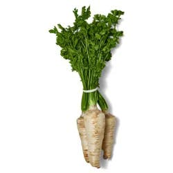 Parsley Root