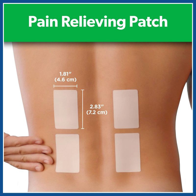 slide 3 of 7, Salonpas Pain Relieving Patch - 8 Hour Pain Relief - 60ct, 60 ct