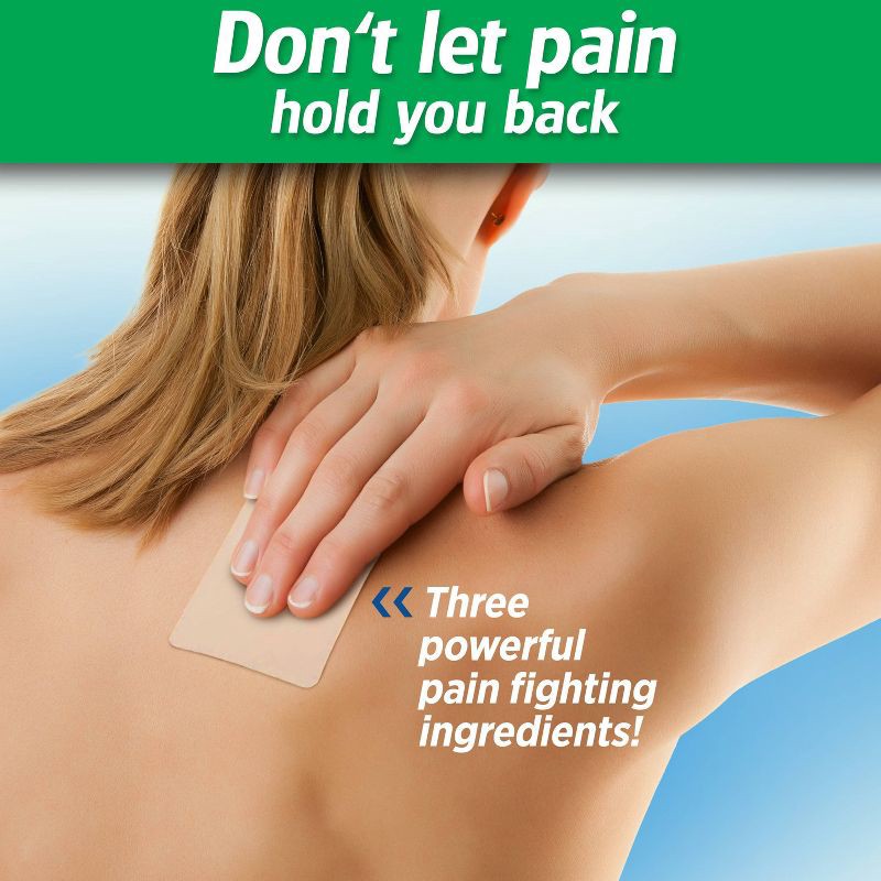 slide 3 of 6, Salonpas Pain Relieving Patch - 8 Hour Pain Relief - 60ct, 60 ct