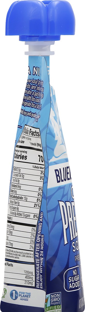 slide 3 of 12, Mamma Chia Organic Chia Blueberry Acai Prebiotic Squeeze - 3.5 oz, 