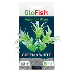 Glofish Green And White Ombre Leaf Plant Small