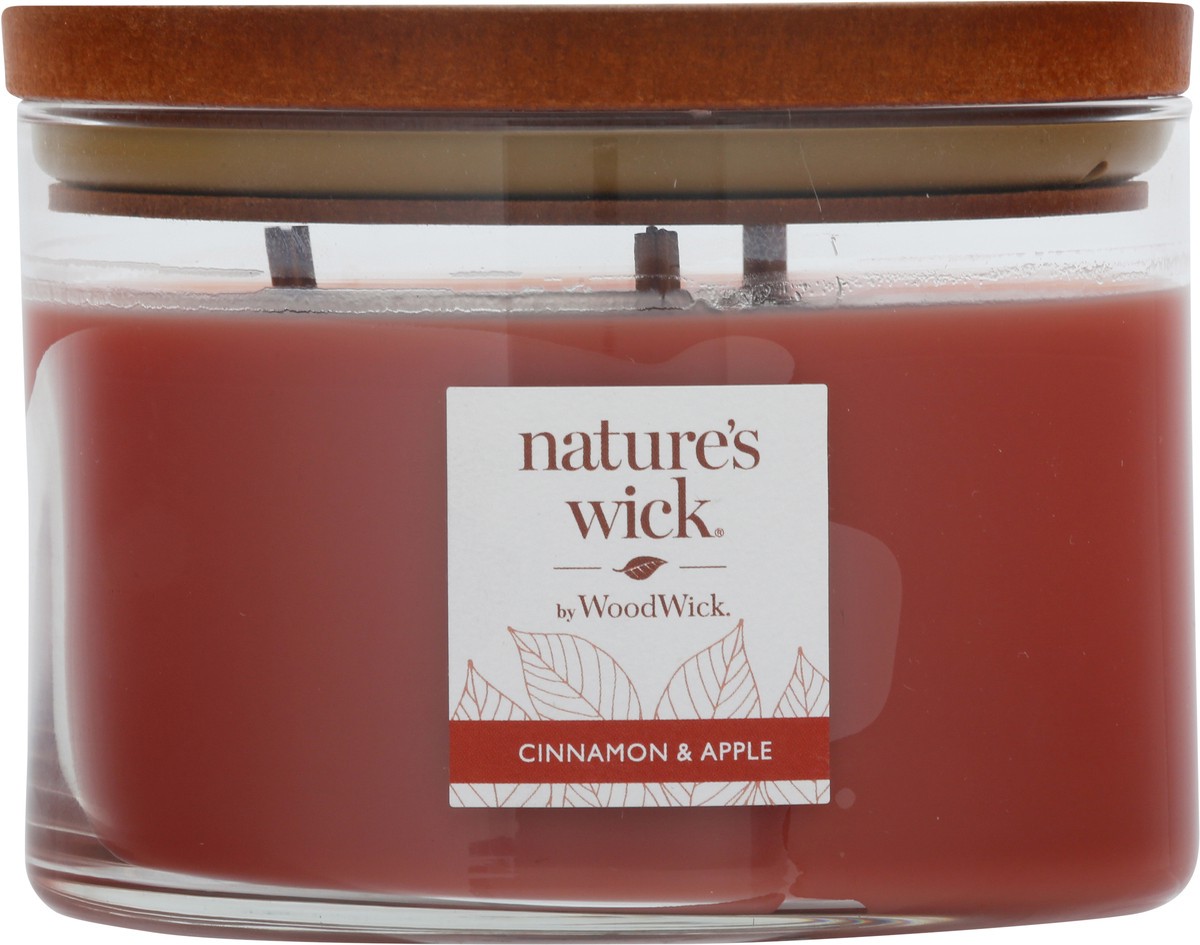 slide 7 of 12, Nature's Wick Cinnamon Apple Candle 1 ea, 1 ct