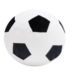 Little Biggies Bouncerz Soccer