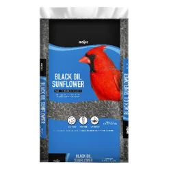 Meijer Black Oil Sunflower Seed Wild Bird Food