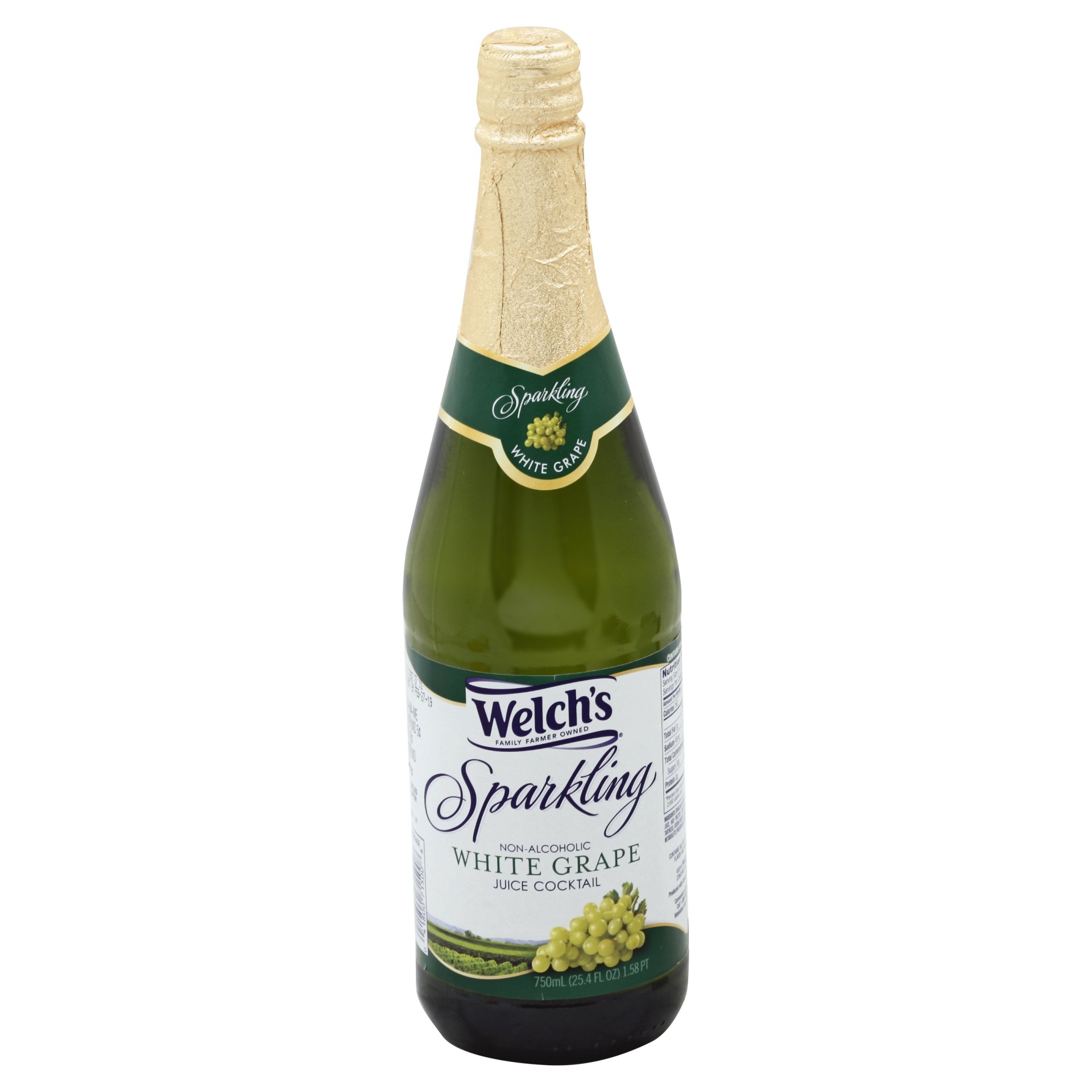 slide 1 of 6, Welch's Sparkling White Grape Juice Glass Bottles, 25.4 fl oz