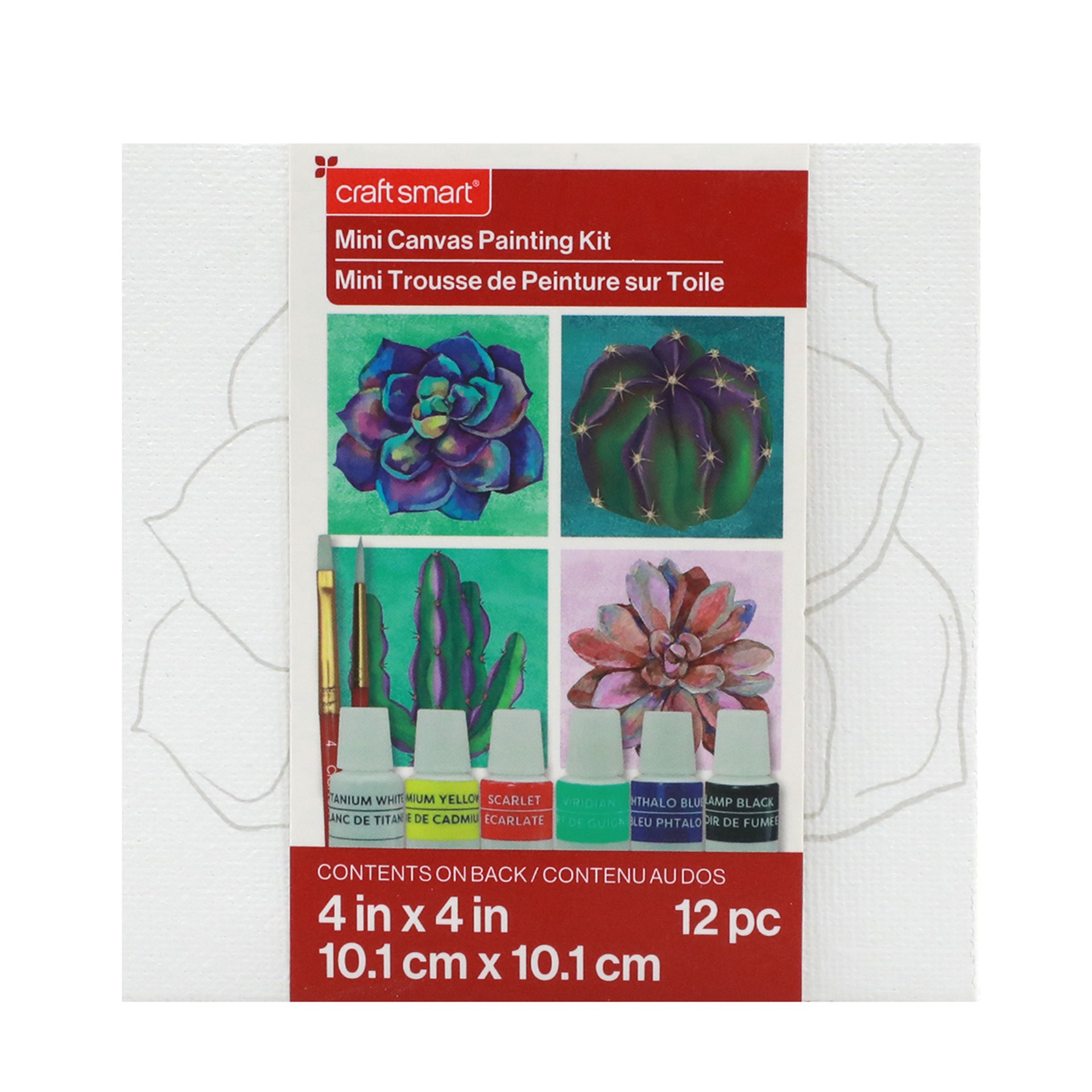 slide 4 of 5, Cactus Mini Canvas Painting Kit By Craft Smart, 4 in x 4 in