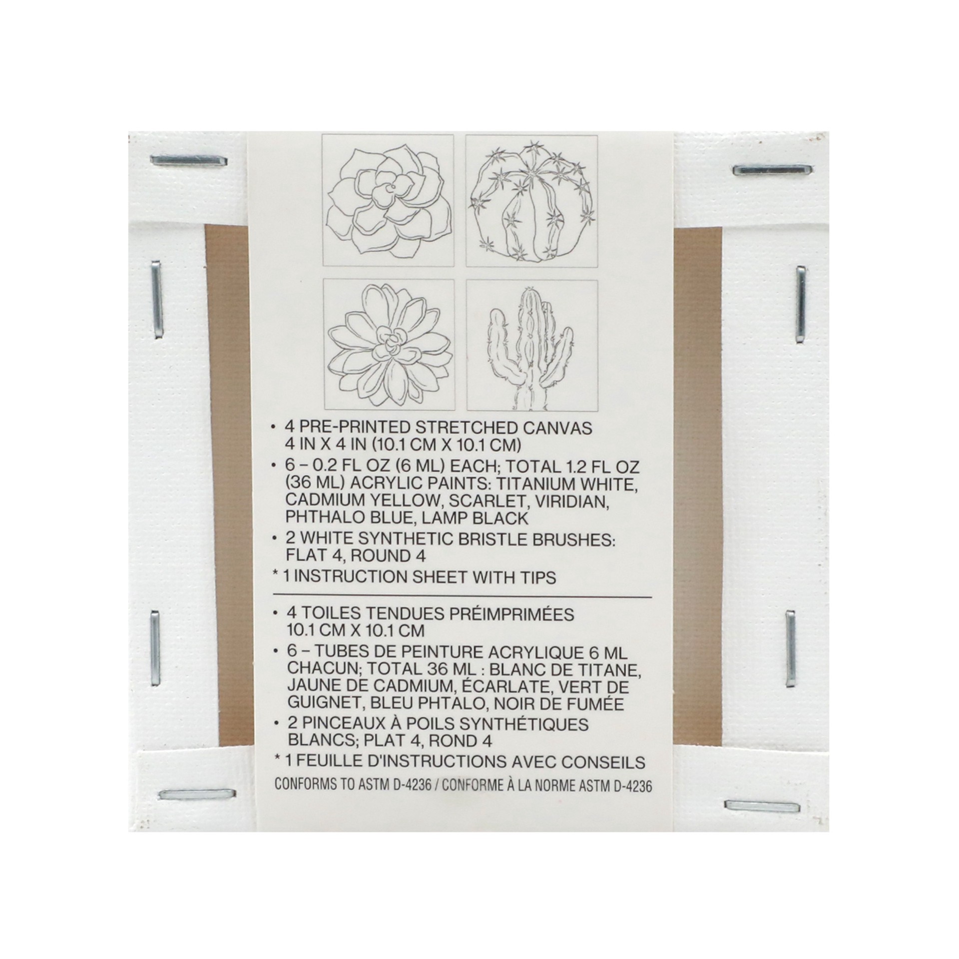 slide 5 of 5, Cactus Mini Canvas Painting Kit By Craft Smart, 4 in x 4 in