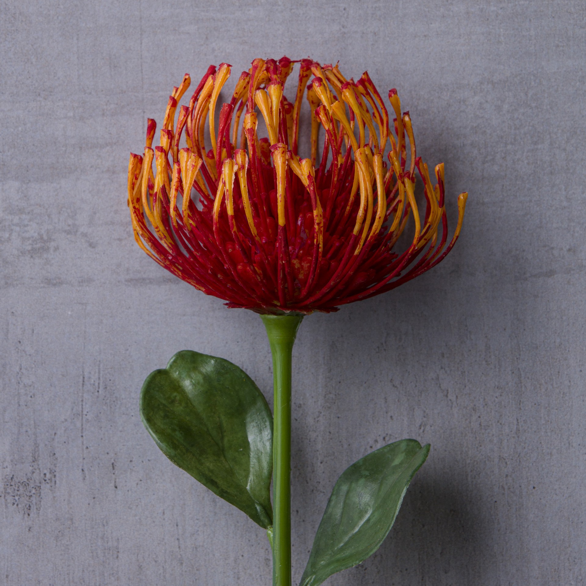 slide 4 of 4, Tropical Needle Protea Spray By Ashland, 23 in