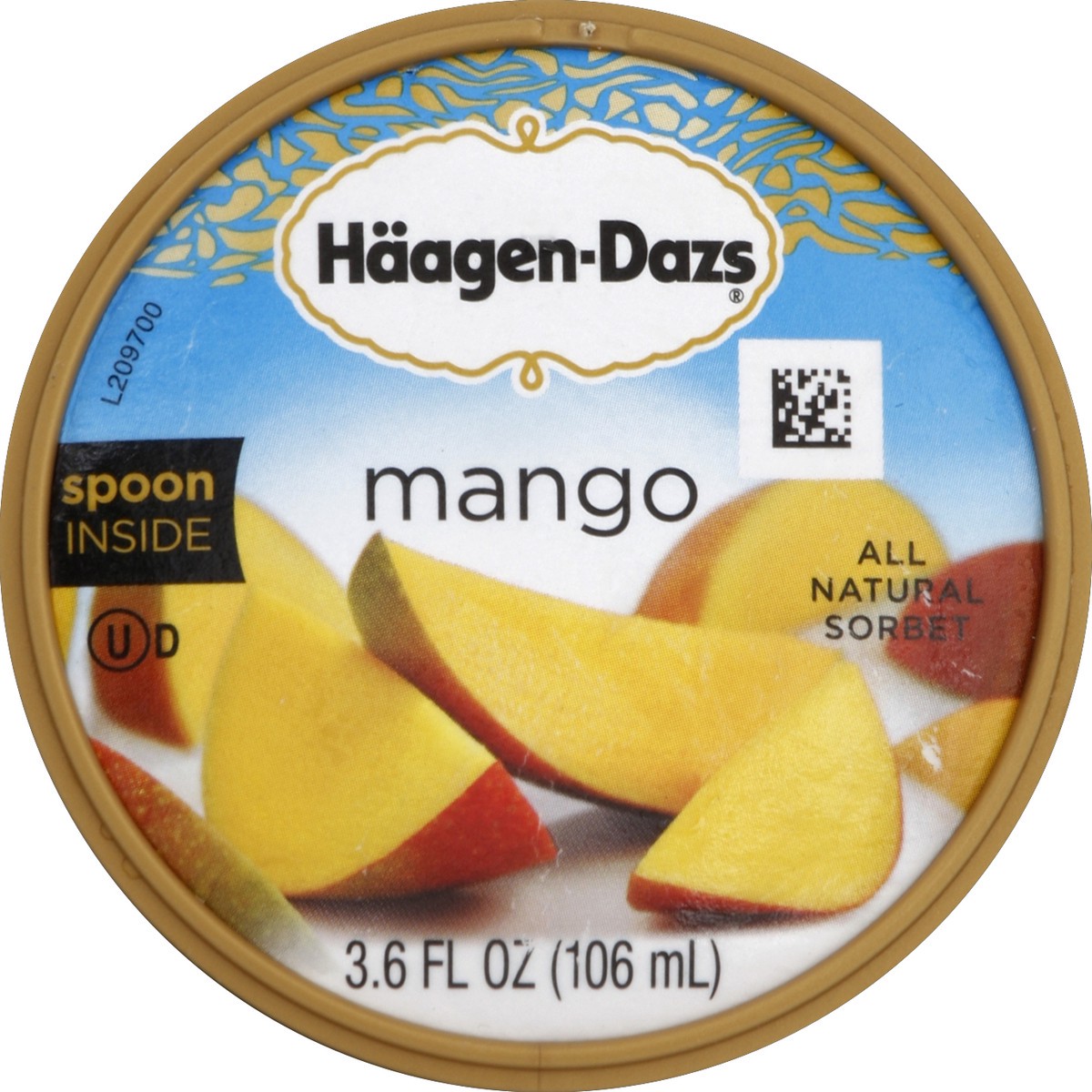 slide 2 of 6, Häagen-Dazs Sorbet, Mango, 3.6 oz
