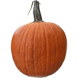 Produce Pumpkin 1 ea