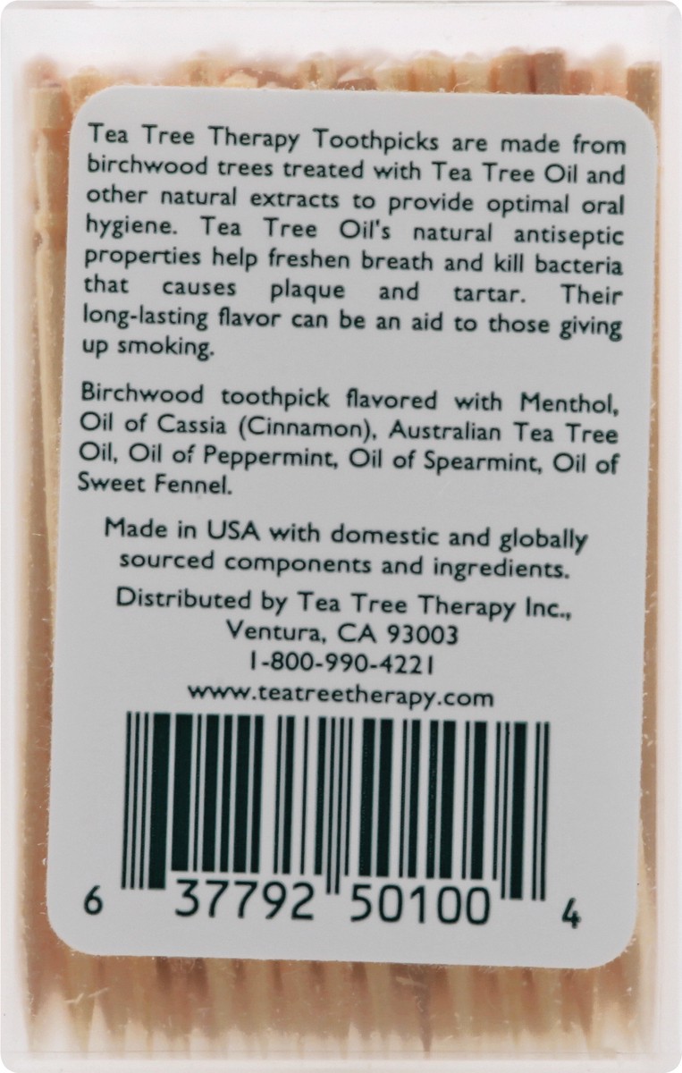 slide 4 of 10, Tea Tree Therapy Mint Toothpicks 100 ea, 100 ct