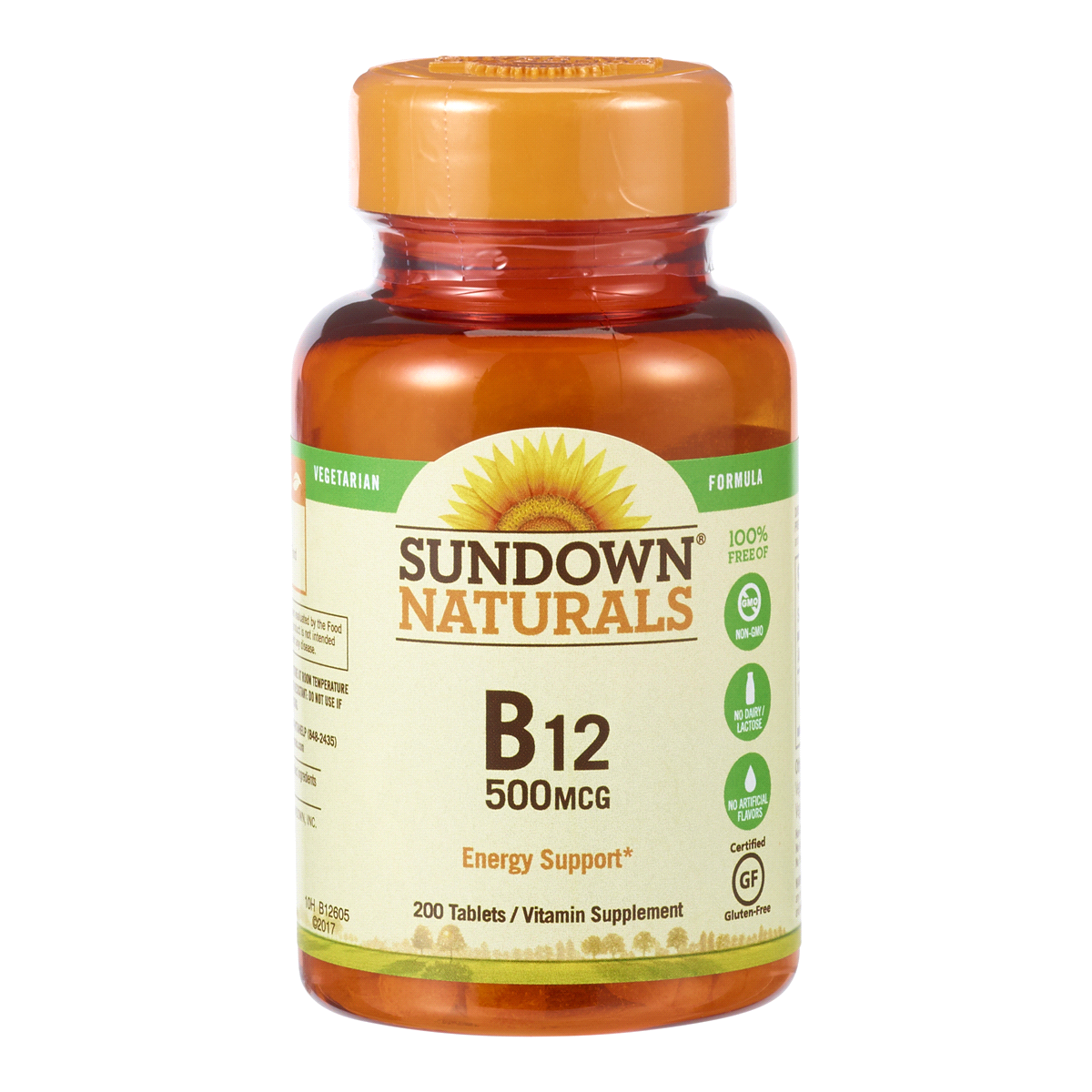 slide 1 of 1, Sundown Naturals High Potency B12 Tablets, 200 ct