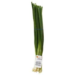 Organic Onions Green Scallions