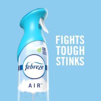 slide 9 of 29, Febreze Air Freshener Spray, Odor-Fighting Room Spray, Sweet Watermelon Vine Scent, 8.8oz, 2 Count, 2 ct