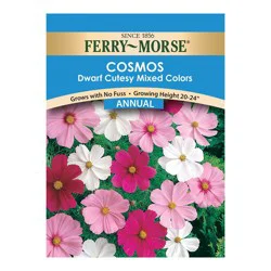 Ferry-Morse Dwarf Cutesy Mixed Colors Cosmos Seed Packet
