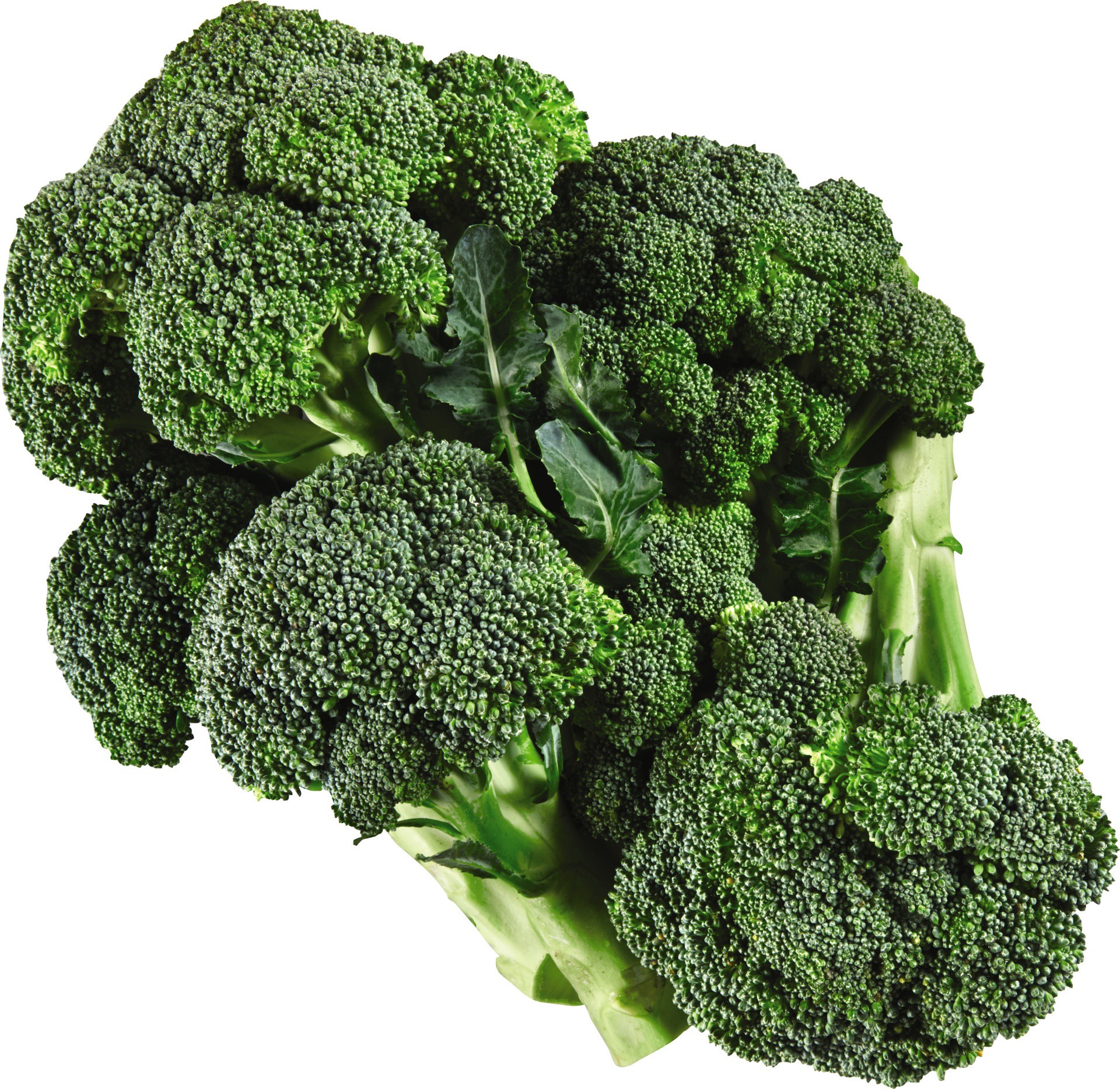 slide 1 of 1, Broccoli 1 ea, 1 ct