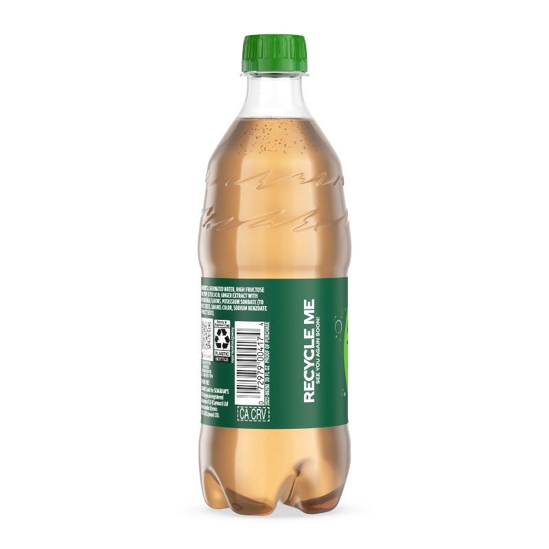 slide 5 of 9, Seagram's Ginger Ale - 20 fl oz Bottle, 20 fl oz