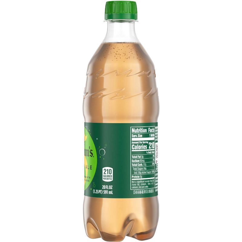 slide 6 of 9, Seagram's Ginger Ale - 20 fl oz Bottle, 20 fl oz