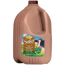 Kemps Skim Chocolate Milk - 1gal