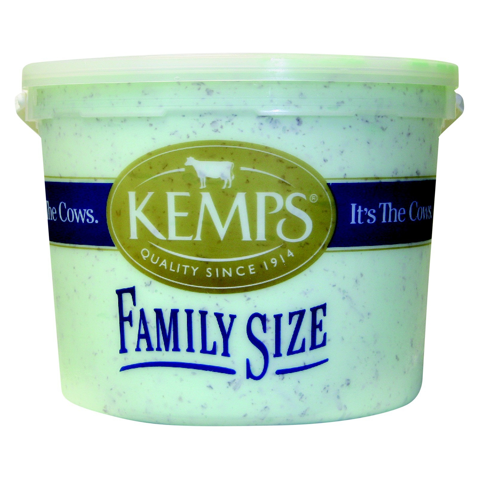 Kemps Mint Chocolate Chip Ice Cream 128 oz Shipt