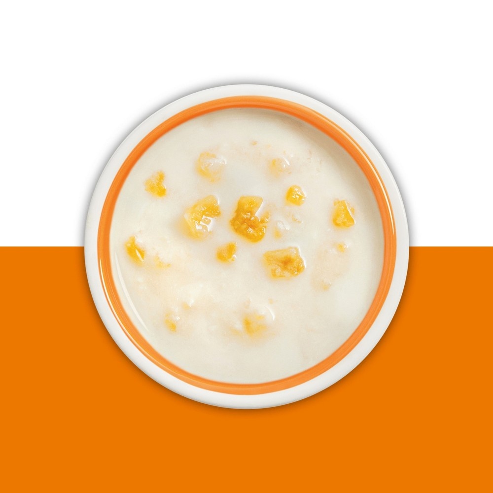 slide 2 of 3, Friskies Lil Soups - Chicken & Butternut Squash, 1.2 oz