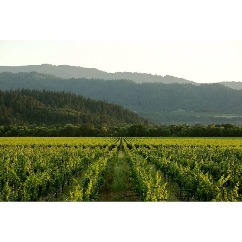 slide 3 of 3, Educated Guess Cabernet Sauvignon Red Wine - 750ml Bottle, 750 ml