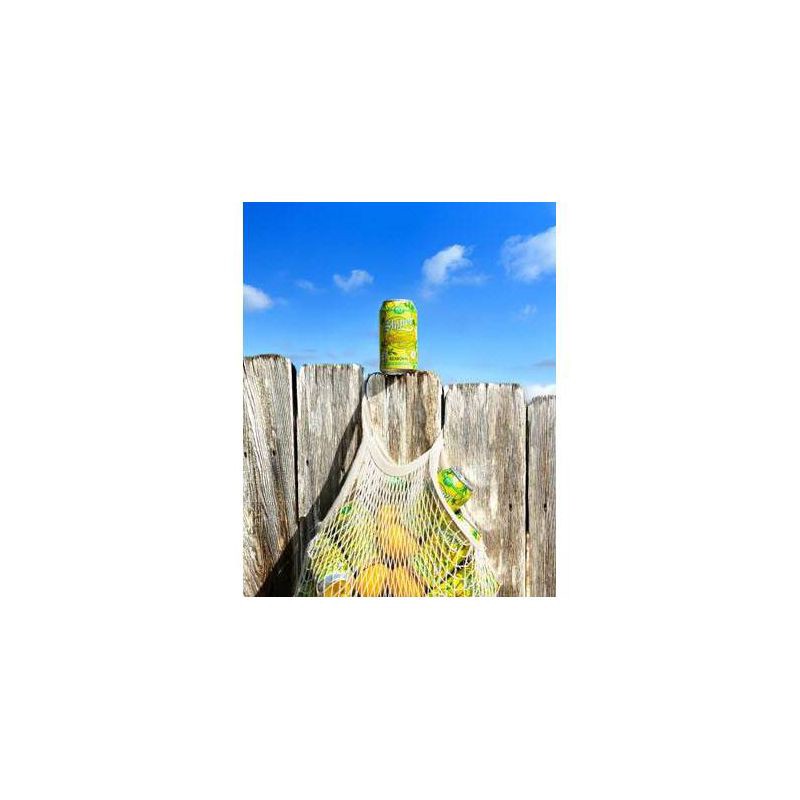 slide 9 of 9, Shiner Seasonal Beer - 6pk/12 fl oz Bottles, 6 ct; 12 fl oz