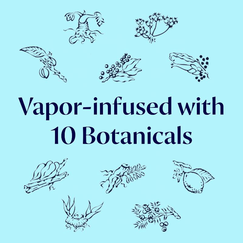 slide 5 of 7, Bombay Sapphire Gin - 1.75L Bottle, 1.75 liter