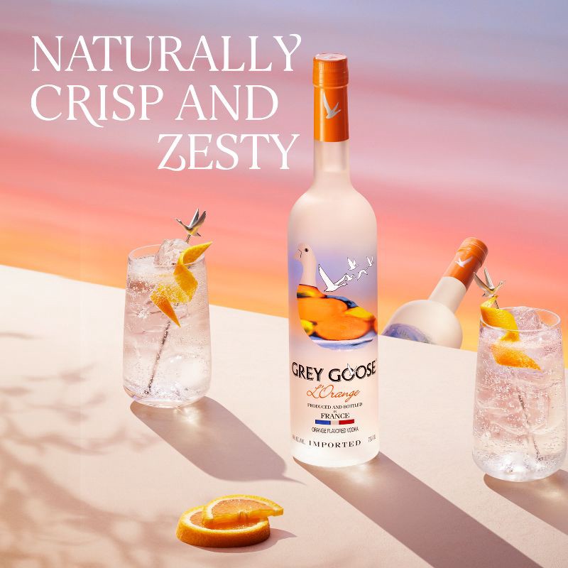 slide 2 of 6, Grey Goose Orange Vodka - 750ml Bottle, 750 ml